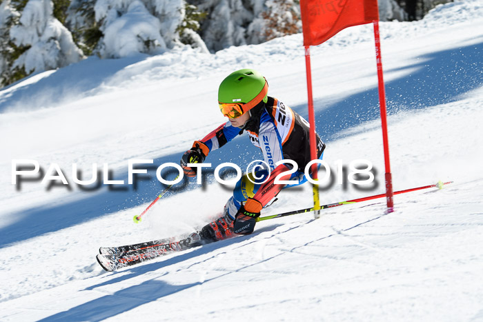 Ziener Cup WF, Finale, Quali + Parallelslalom, 24.03.2018