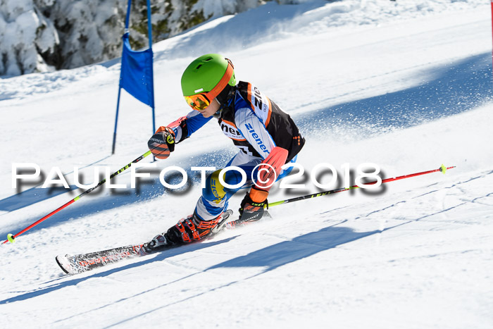 Ziener Cup WF, Finale, Quali + Parallelslalom, 24.03.2018