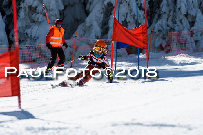 Ziener Cup WF, Finale, Quali + Parallelslalom, 24.03.2018