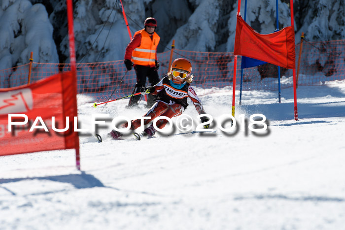 Ziener Cup WF, Finale, Quali + Parallelslalom, 24.03.2018