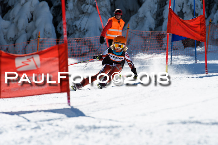 Ziener Cup WF, Finale, Quali + Parallelslalom, 24.03.2018