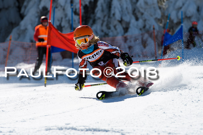 Ziener Cup WF, Finale, Quali + Parallelslalom, 24.03.2018