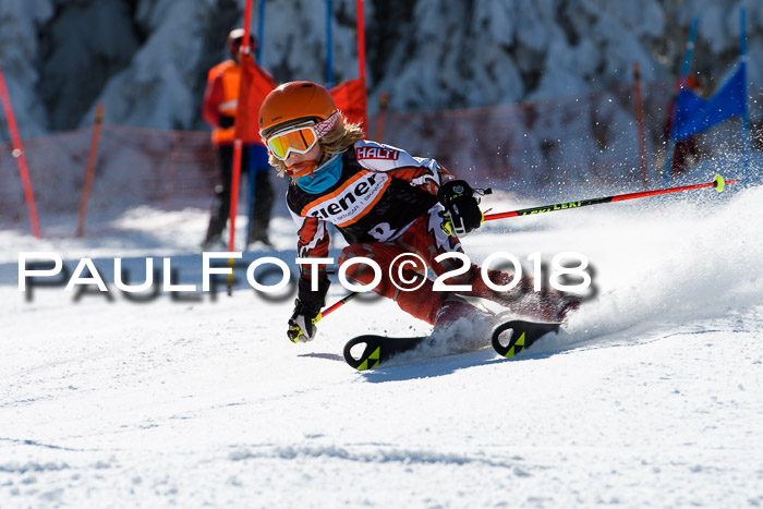 Ziener Cup WF, Finale, Quali + Parallelslalom, 24.03.2018