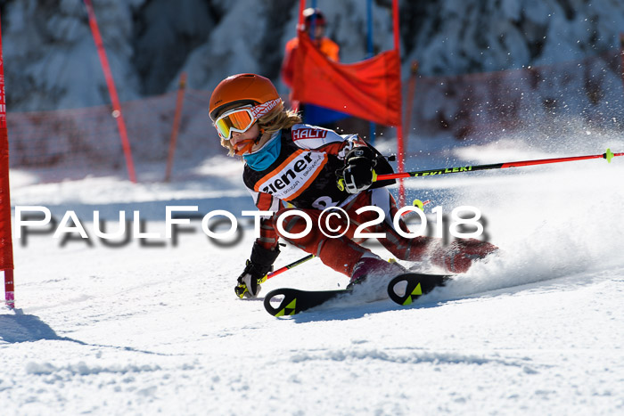 Ziener Cup WF, Finale, Quali + Parallelslalom, 24.03.2018