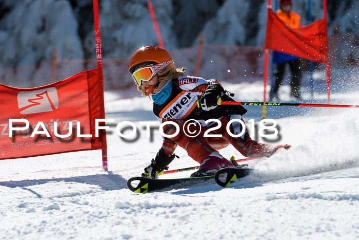 Ziener Cup WF, Finale, Quali + Parallelslalom, 24.03.2018