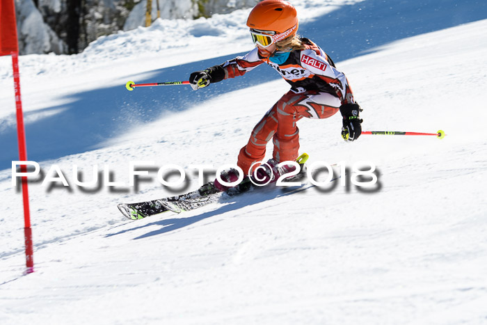 Ziener Cup WF, Finale, Quali + Parallelslalom, 24.03.2018