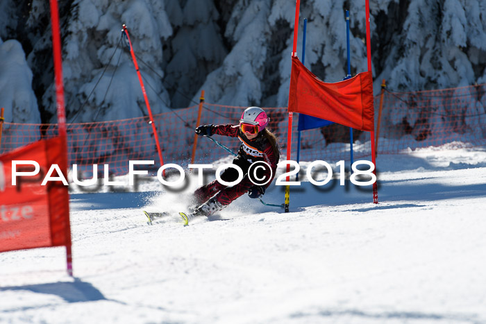 Ziener Cup WF, Finale, Quali + Parallelslalom, 24.03.2018