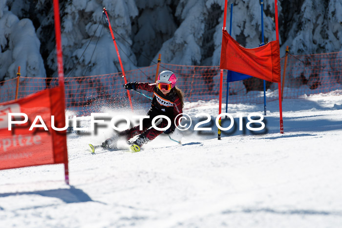 Ziener Cup WF, Finale, Quali + Parallelslalom, 24.03.2018