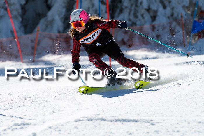Ziener Cup WF, Finale, Quali + Parallelslalom, 24.03.2018