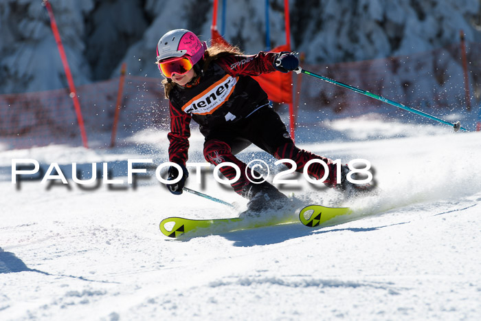 Ziener Cup WF, Finale, Quali + Parallelslalom, 24.03.2018