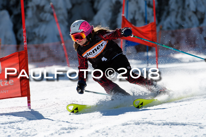 Ziener Cup WF, Finale, Quali + Parallelslalom, 24.03.2018