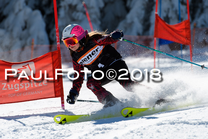 Ziener Cup WF, Finale, Quali + Parallelslalom, 24.03.2018