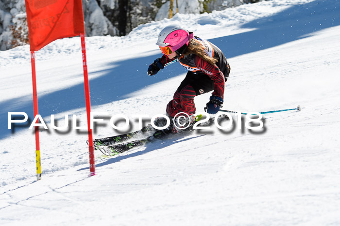 Ziener Cup WF, Finale, Quali + Parallelslalom, 24.03.2018