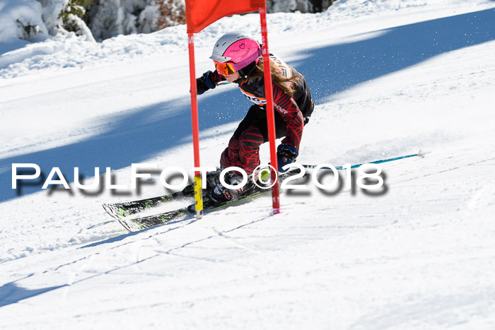 Ziener Cup WF, Finale, Quali + Parallelslalom, 24.03.2018