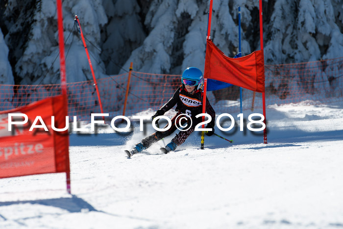 Ziener Cup WF, Finale, Quali + Parallelslalom, 24.03.2018