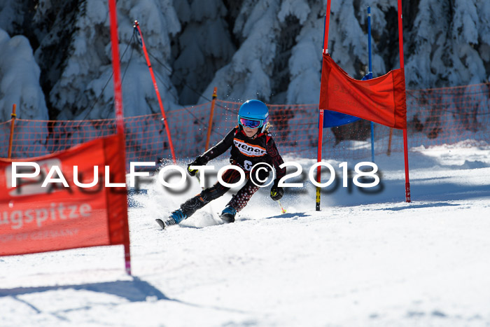 Ziener Cup WF, Finale, Quali + Parallelslalom, 24.03.2018