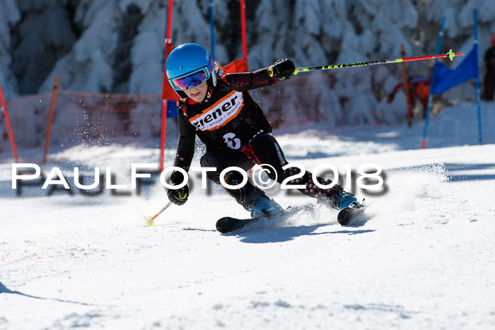 Ziener Cup WF, Finale, Quali + Parallelslalom, 24.03.2018