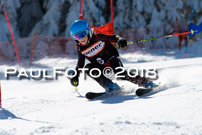 Ziener Cup WF, Finale, Quali + Parallelslalom, 24.03.2018