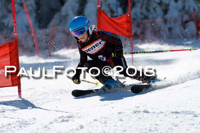 Ziener Cup WF, Finale, Quali + Parallelslalom, 24.03.2018