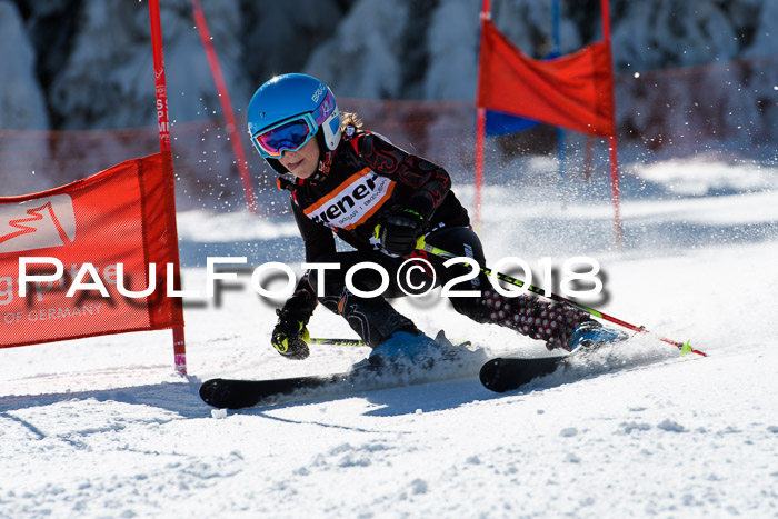 Ziener Cup WF, Finale, Quali + Parallelslalom, 24.03.2018
