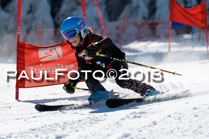 Ziener Cup WF, Finale, Quali + Parallelslalom, 24.03.2018