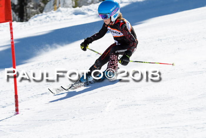 Ziener Cup WF, Finale, Quali + Parallelslalom, 24.03.2018