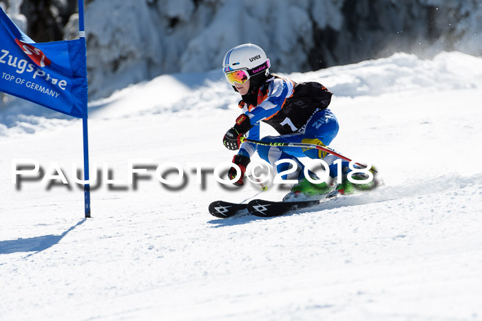 Ziener Cup WF, Finale, Quali + Parallelslalom, 24.03.2018