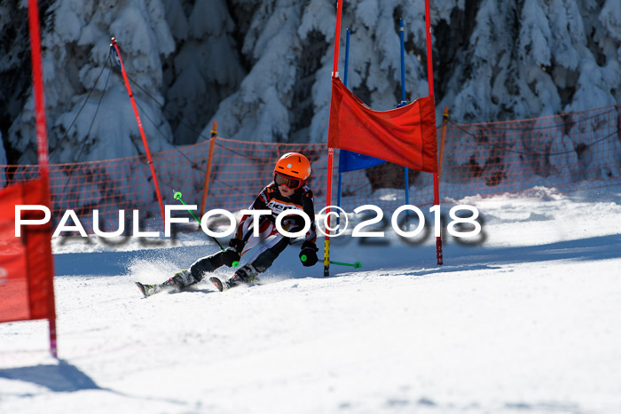 Ziener Cup WF, Finale, Quali + Parallelslalom, 24.03.2018