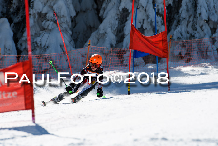Ziener Cup WF, Finale, Quali + Parallelslalom, 24.03.2018