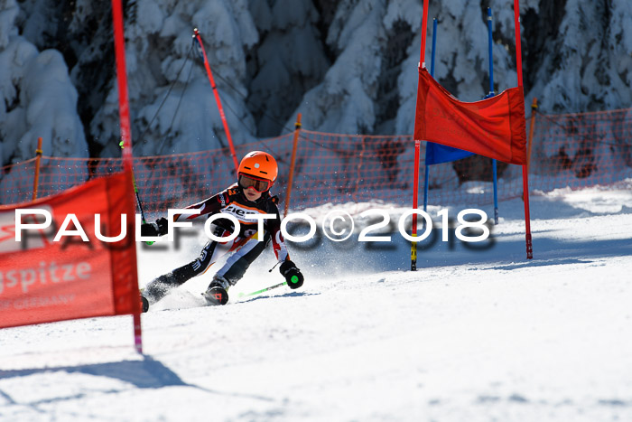 Ziener Cup WF, Finale, Quali + Parallelslalom, 24.03.2018