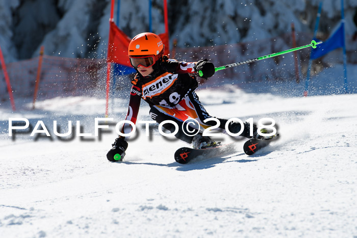 Ziener Cup WF, Finale, Quali + Parallelslalom, 24.03.2018