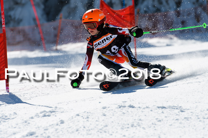 Ziener Cup WF, Finale, Quali + Parallelslalom, 24.03.2018