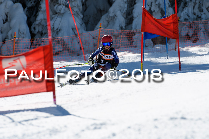 Ziener Cup WF, Finale, Quali + Parallelslalom, 24.03.2018