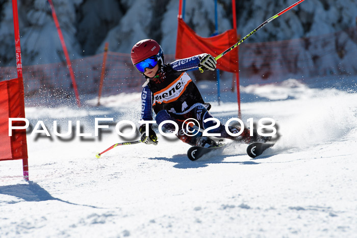 Ziener Cup WF, Finale, Quali + Parallelslalom, 24.03.2018