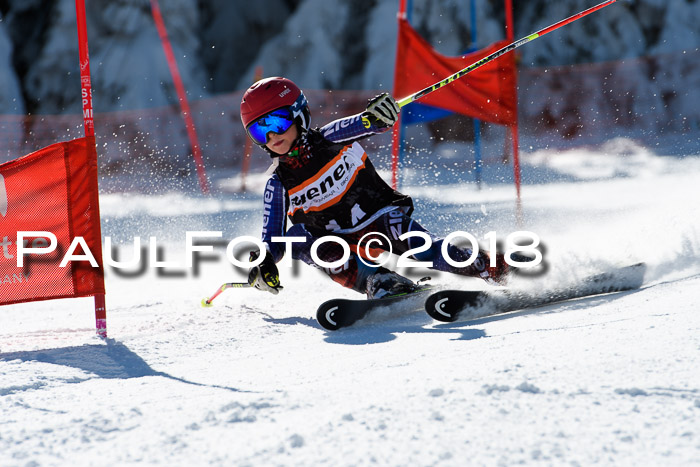Ziener Cup WF, Finale, Quali + Parallelslalom, 24.03.2018