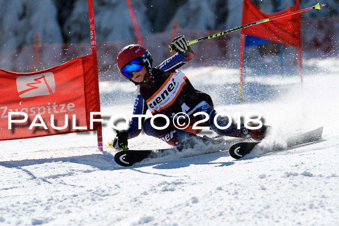 Ziener Cup WF, Finale, Quali + Parallelslalom, 24.03.2018