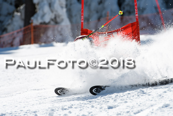 Ziener Cup WF, Finale, Quali + Parallelslalom, 24.03.2018