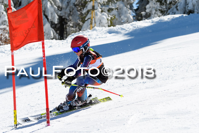 Ziener Cup WF, Finale, Quali + Parallelslalom, 24.03.2018