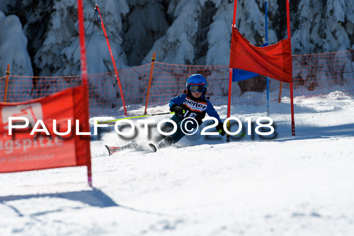 Ziener Cup WF, Finale, Quali + Parallelslalom, 24.03.2018