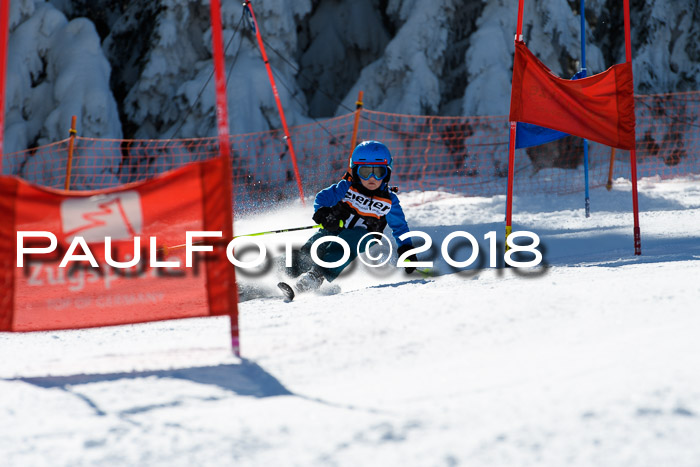 Ziener Cup WF, Finale, Quali + Parallelslalom, 24.03.2018