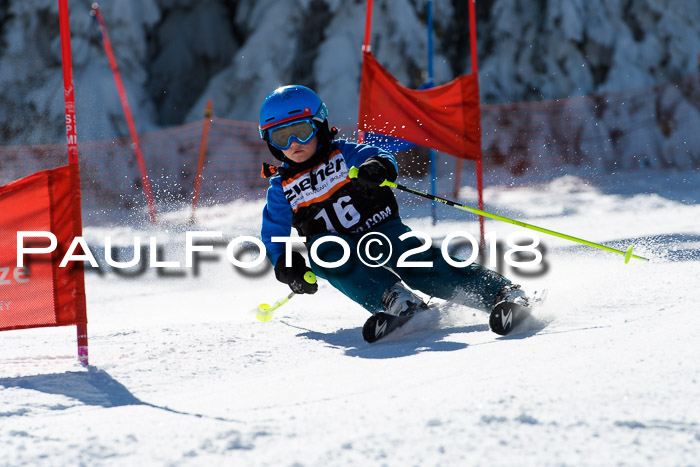 Ziener Cup WF, Finale, Quali + Parallelslalom, 24.03.2018