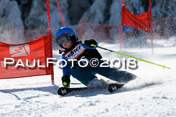 Ziener Cup WF, Finale, Quali + Parallelslalom, 24.03.2018