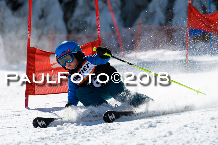 Ziener Cup WF, Finale, Quali + Parallelslalom, 24.03.2018