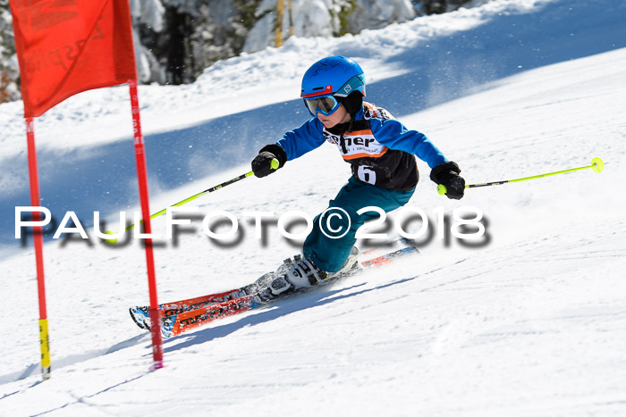 Ziener Cup WF, Finale, Quali + Parallelslalom, 24.03.2018