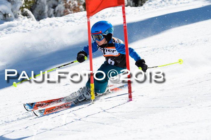 Ziener Cup WF, Finale, Quali + Parallelslalom, 24.03.2018