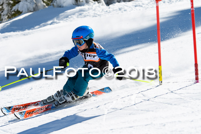 Ziener Cup WF, Finale, Quali + Parallelslalom, 24.03.2018