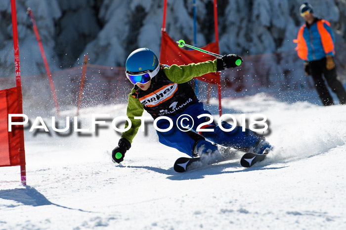 Ziener Cup WF, Finale, Quali + Parallelslalom, 24.03.2018