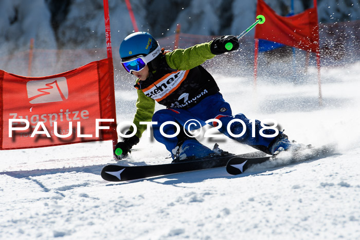 Ziener Cup WF, Finale, Quali + Parallelslalom, 24.03.2018
