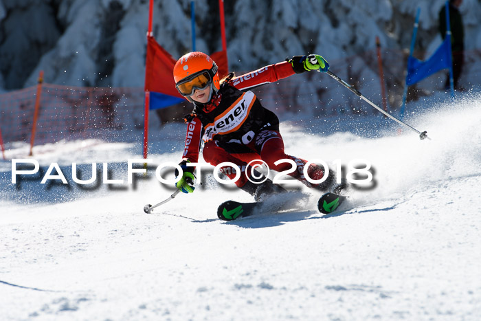 Ziener Cup WF, Finale, Quali + Parallelslalom, 24.03.2018
