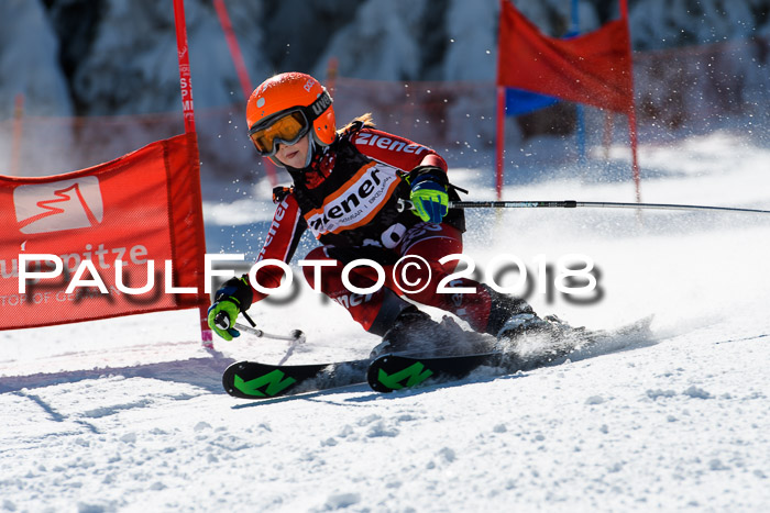 Ziener Cup WF, Finale, Quali + Parallelslalom, 24.03.2018
